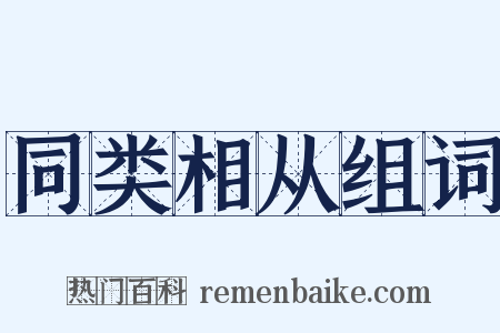 同类相从组词是什么意思的图片